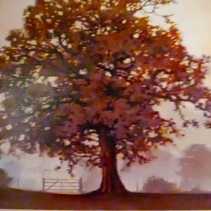 Hi I'm REBECCA! 33 LOCATED NEAR KANSAS CITY MO...Funding goes to  Education